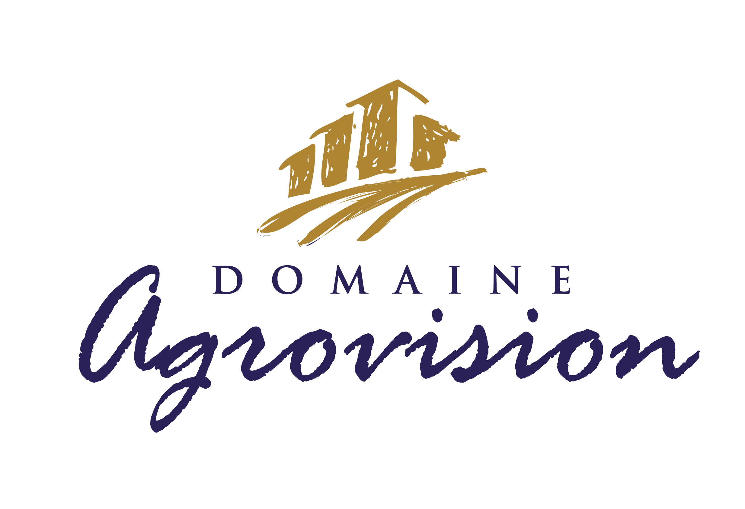 Domain Agrovision