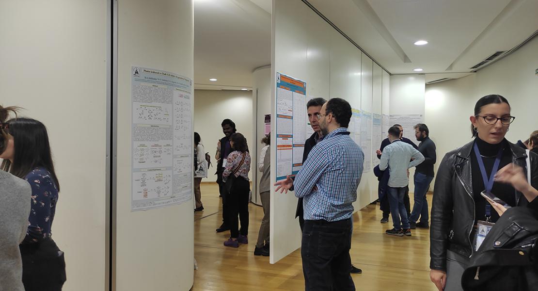Poster Sessions' Photo